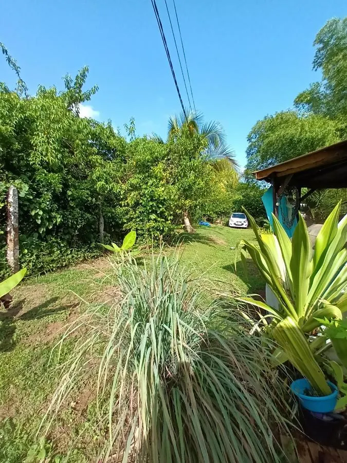 Homestay Tropical Room Lamentin