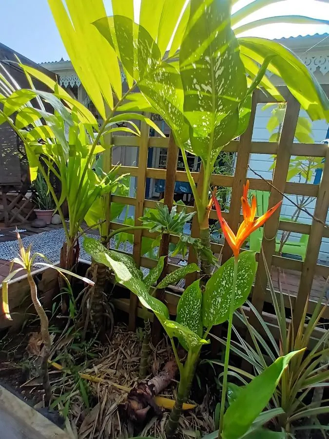 Tropical Room Lamentin 0*,  Guadeloupe